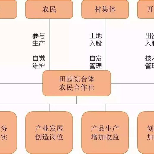 商业运营管理计划书,商业运营计划书范文